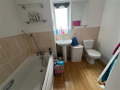Picture 13